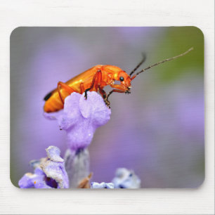 Tapis De Souris Le coléoptère rouge