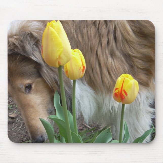 Tapis De Souris Le Collie et les Tulipes (Devant)