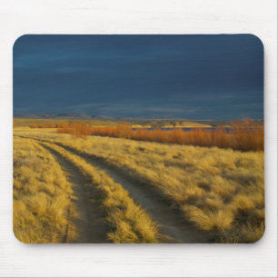 Tapis De Souris Le coucher de soleil met en valeur l'écorce rouge 