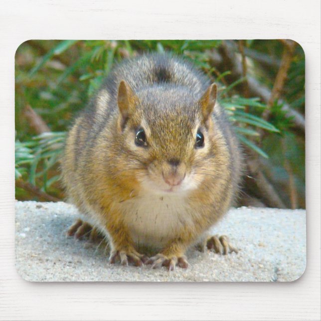 Tapis De Souris Le Cute Chipmunk A L'Oeil Sur Vous (Devant)