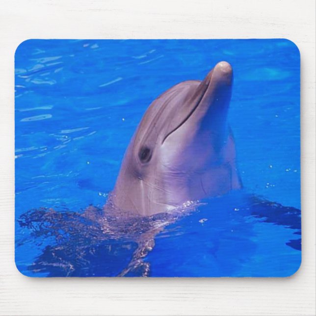 Tapis De Souris Le dauphin sourit Mousepad (Devant)