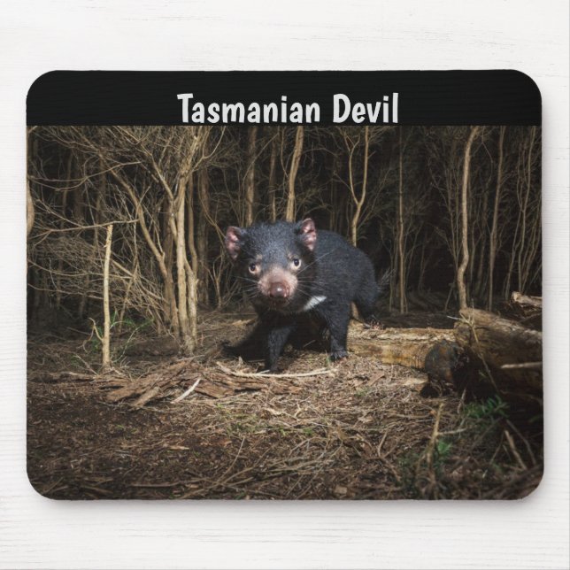 Tapis De Souris Le diable de Tasmanie en Australie (Devant)