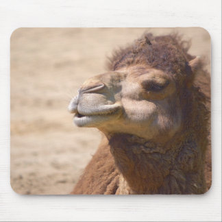 Tapis De Souris Le dromadaire - Mousepad