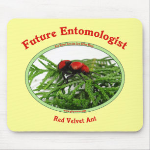 Tapis De Souris Le futur entomologiste aime des insectes