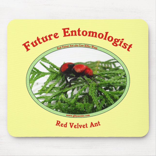 Tapis De Souris Le futur entomologiste aime des insectes (Devant)