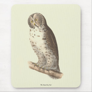 Tapis De Souris Le grand hibou gris (Strix nebulosa) NY Bird Image