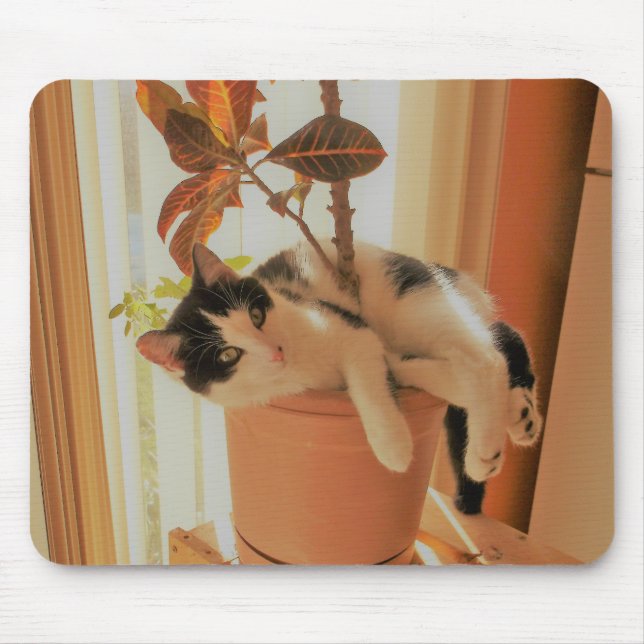 Tapis De Souris Le grignoteur est Catnipping (Devant)