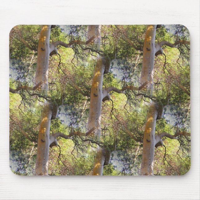 Tapis De Souris Le Jour des Arbres... (Devant)