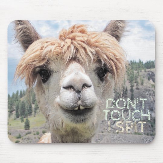 Tapis De Souris Le Lama Drole D Alpaga Ne Me Touchent Pas Crachent Zazzle Fr