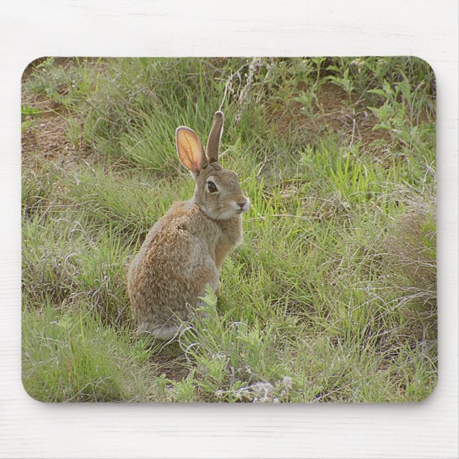 Tapis De Souris Le lapin regarde au-dessus de l'épaule (Devant)