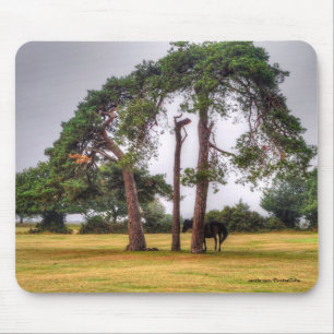 Tapis De Souris Le magnifique animal équin de l'amoureux du cheval