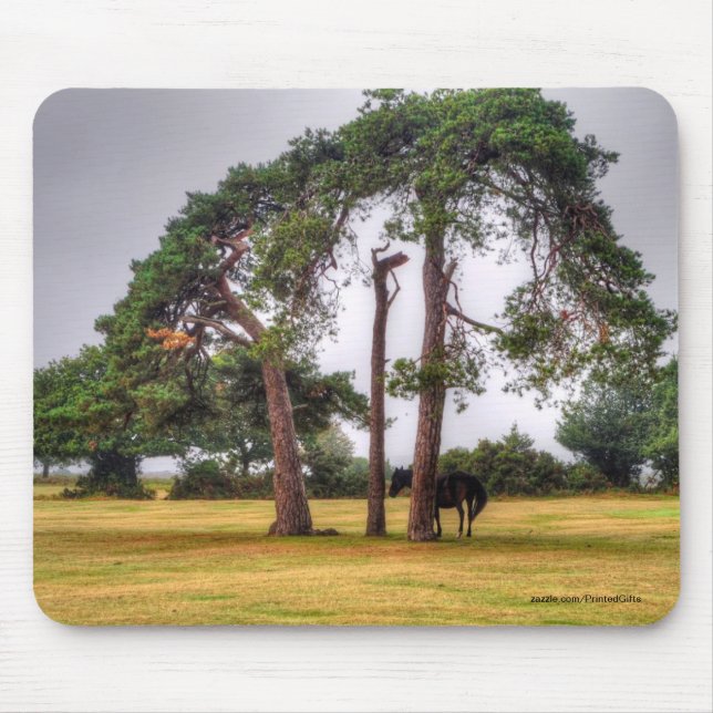 Tapis De Souris Le magnifique animal équin de l'amoureux du cheval (Devant)