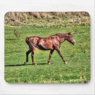 Tapis De Souris Le magnifique animal équin de l'amoureux du cheval