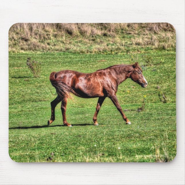 Tapis De Souris Le magnifique animal équin de l'amoureux du cheval (Devant)