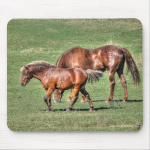 Tapis De Souris Le magnifique animal équin de l'amoureux du cheval