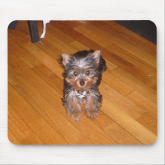 TAPIS DE SOURIS LE MONDE DE KIARA