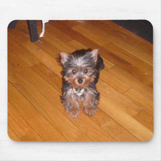 TAPIS DE SOURIS LE MONDE DE KIARA (Devant)