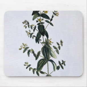 Tapis De Souris Le moût de St John, plat 62, de 'collection Preci