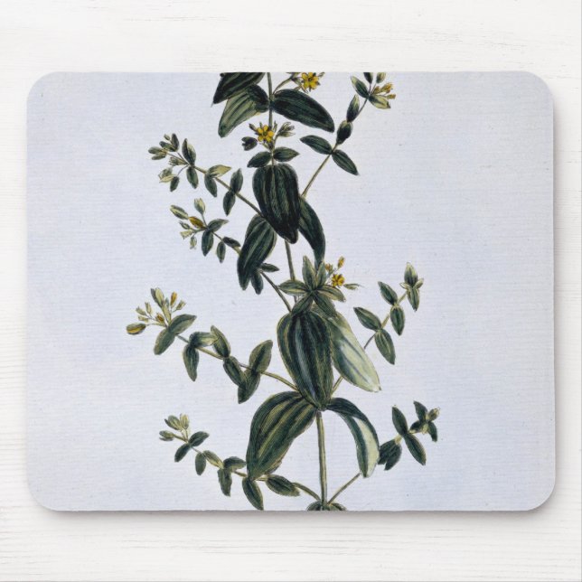 Tapis De Souris Le moût de St John, plat 62, de 'collection Precie (Devant)