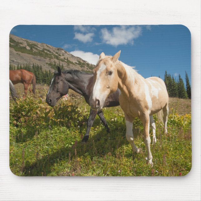 Tapis De Souris Le Parc national de North Cascades (Devant)