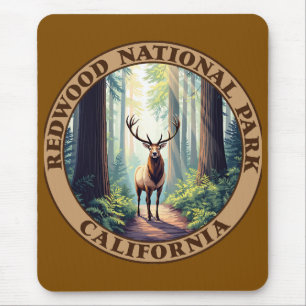 Tapis De Souris Le parc national de Redwood Californie