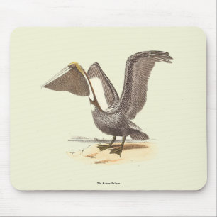 Tapis De Souris Le pélican Brown (Pelecanus occidentalis) NY Bird