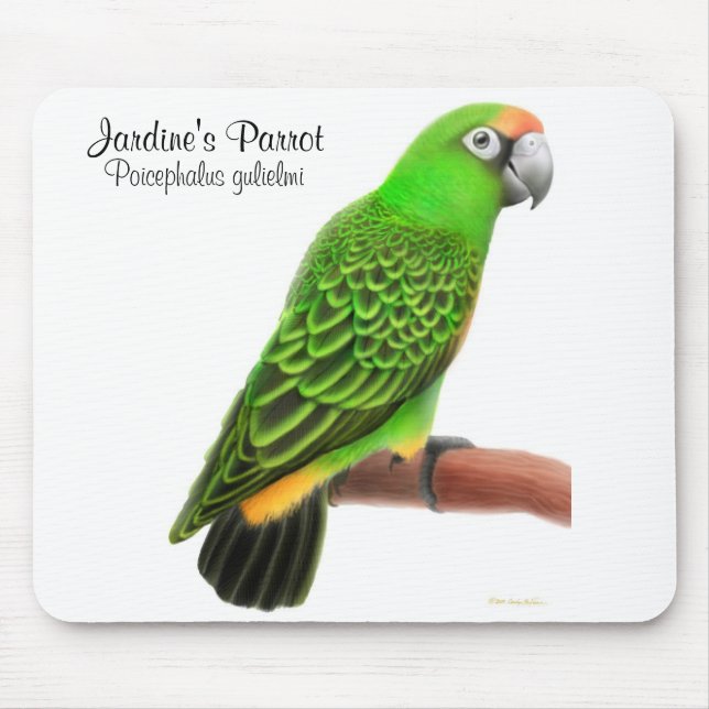 Tapis De Souris Le perroquet Mousepad de Jardine (Devant)