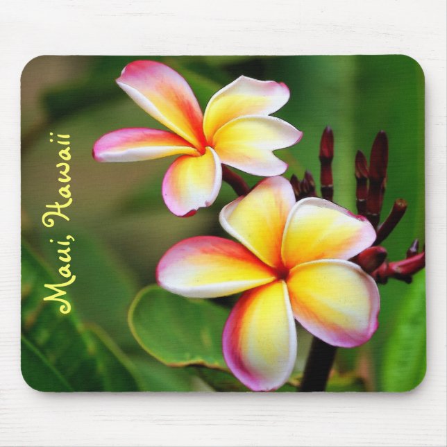 Tapis De Souris Le Plumeria de Maui fleurit Mousepad (Devant)