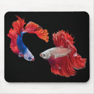 Tapis De Souris Le poisson combattant siamois