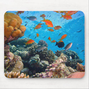 Tapis De Souris Le poisson sous-marin et le corail
