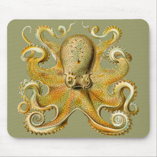Tapis De Souris Le poulpe d'Ernst Haeckel