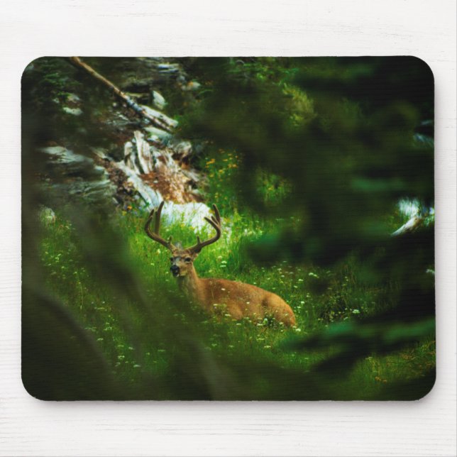 Tapis De Souris Le Prince Forêt (Devant)