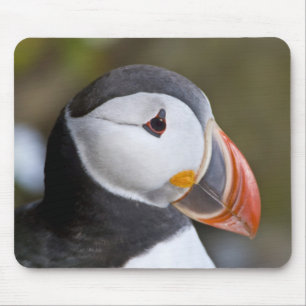 Tapis De Souris Le Puffin Atlantique, un oiseau marin pélagique