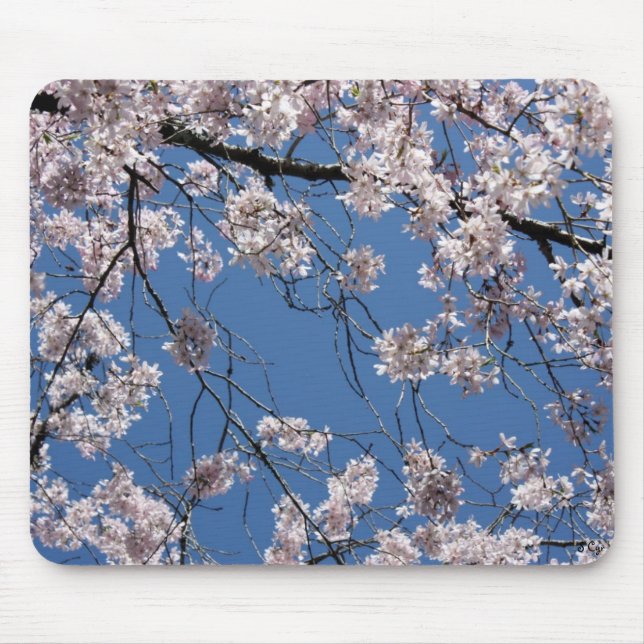 Tapis De Souris Le ressort a Mousepad jailli (Devant)