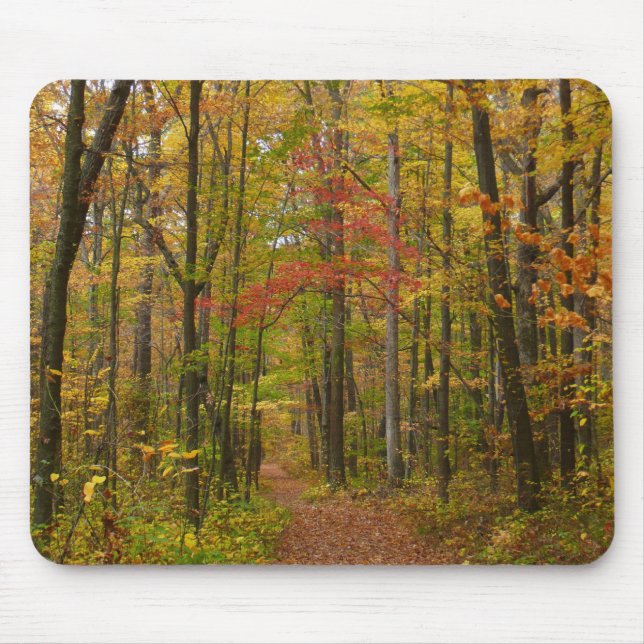 Tapis De Souris Le sentier Laurel Hill à l'automne (Devant)
