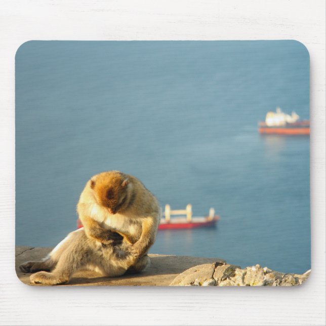 Tapis De Souris Le singe barbare de Gibraltar (Devant)