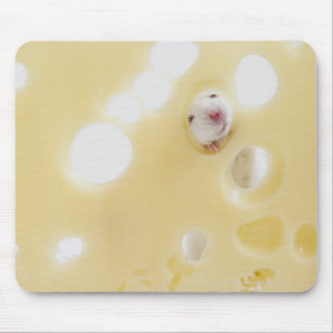 Tapis De Souris Le studio a tiré de la souris blanche regardant