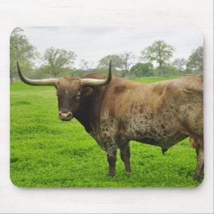 Tapis De Souris Le Texas a brûlé le boeuf orange de Longhorn