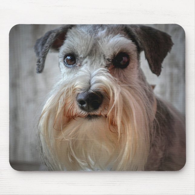 Tapis De Souris Le visage de Schnauzer Dog (Devant)