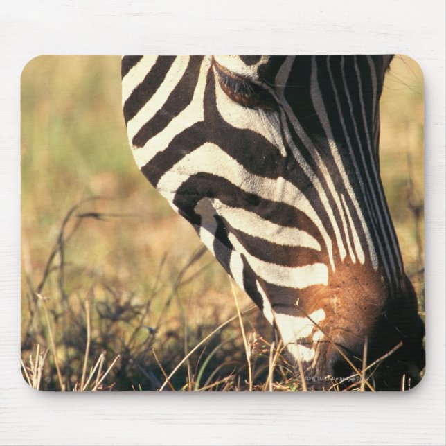 Tapis De Souris Le zèbre de Burchell (Devant)