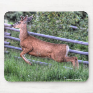 Tapis De Souris Leaping Deer Buck on Ranch Wildlife Photo