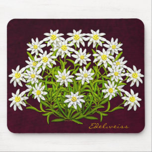 Tapis De Souris L'edelweiss suisse de montagne fleurit Mousepad