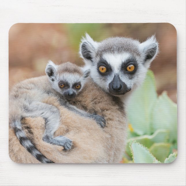 Tapis De Souris Lémurien à queue annelée bébé sur le dos de sa mèr (Devant)
