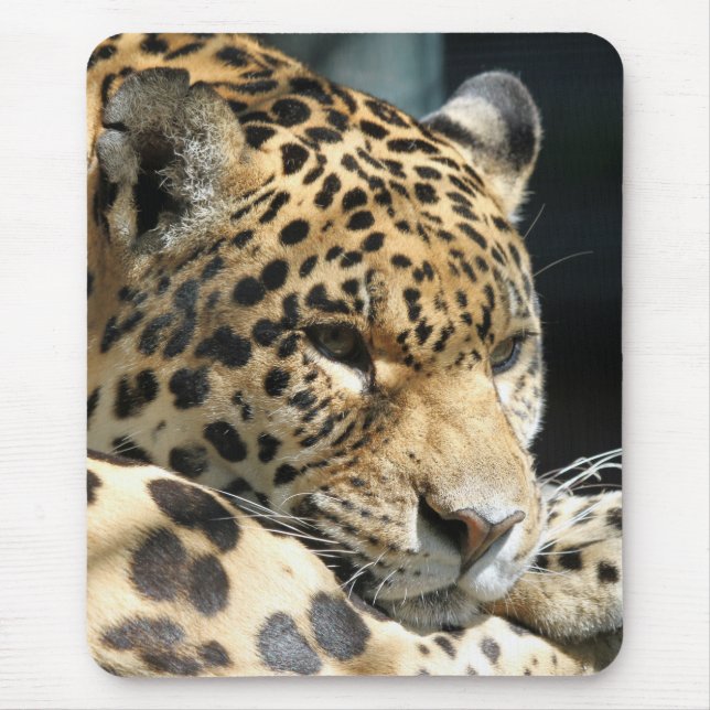 Tapis De Souris Leopard 004 (Devant)