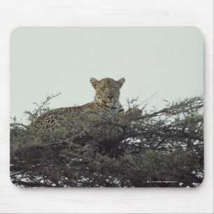 Tapis De Souris Léopard africain