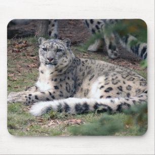 Tapis De Souris léopard de neige 26
