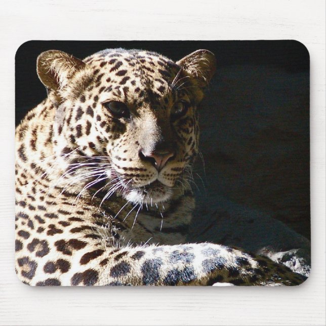 Tapis De Souris Léopard frais Mousepad (Devant)