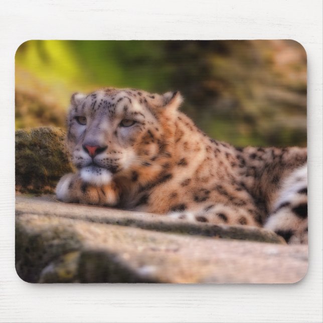 Tapis De Souris Léopard Lounging (Devant)