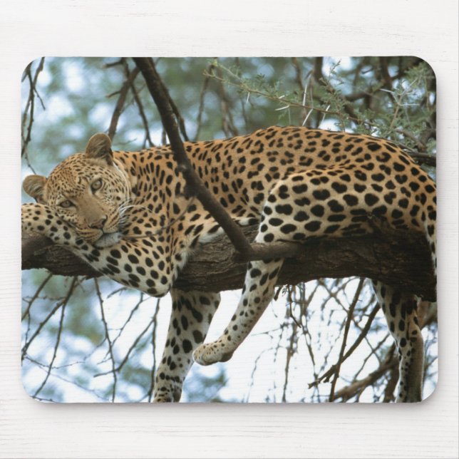 Tapis De Souris Léopard posé dans l'arbre (Devant)