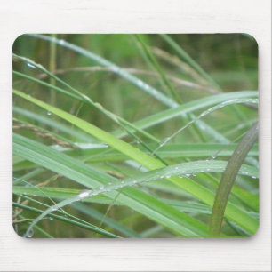 Tapis De Souris L'épisode de la nature